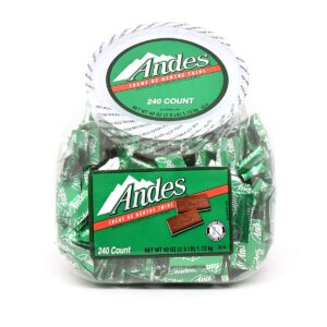 ANDES MINT CHANGEMAKER JAR 240CT - Image 1